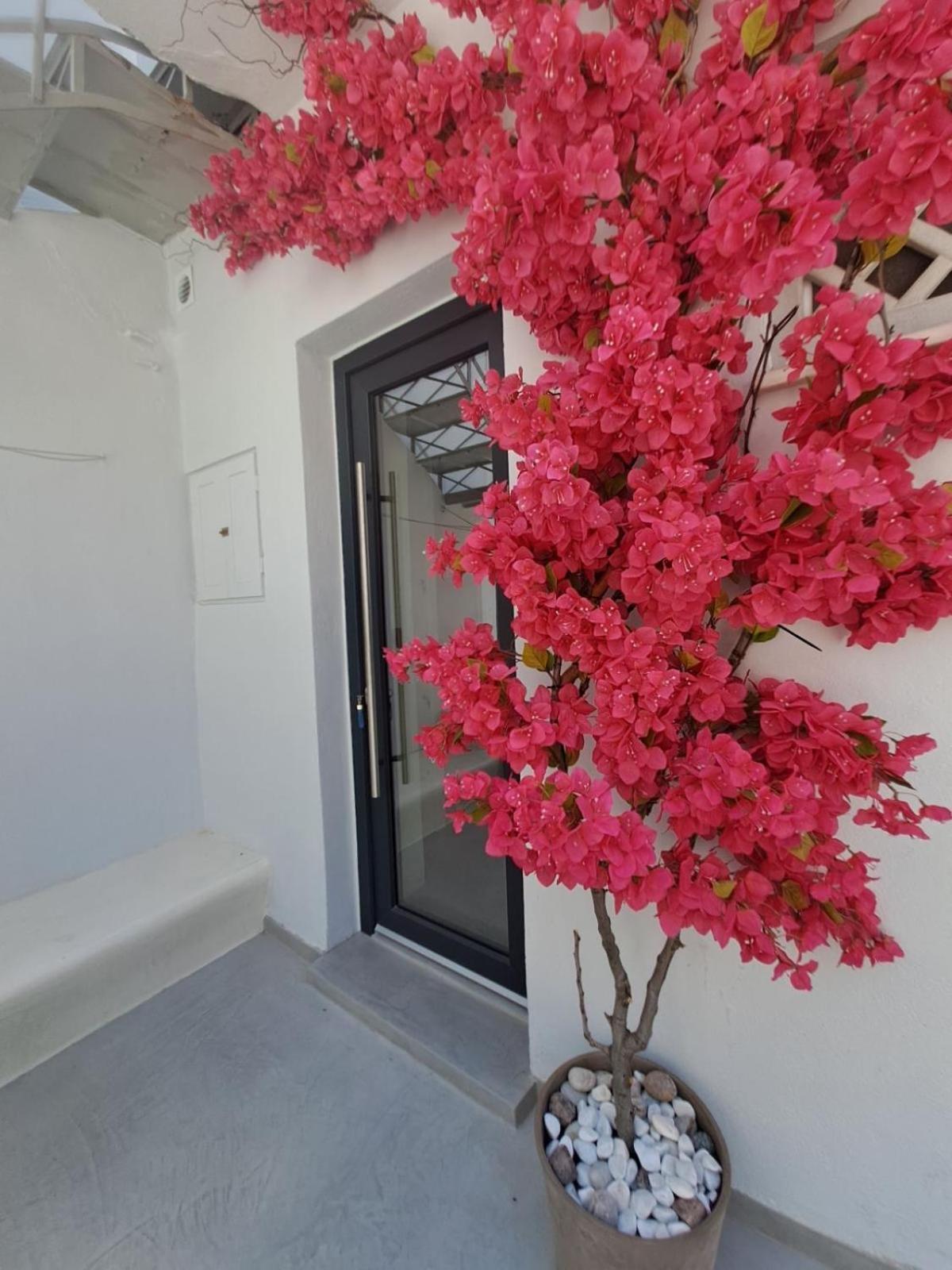 Margaret's In Town Apartment Tinos
